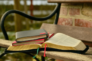 Image illustrating scripture focused verse-by-verse Bible study