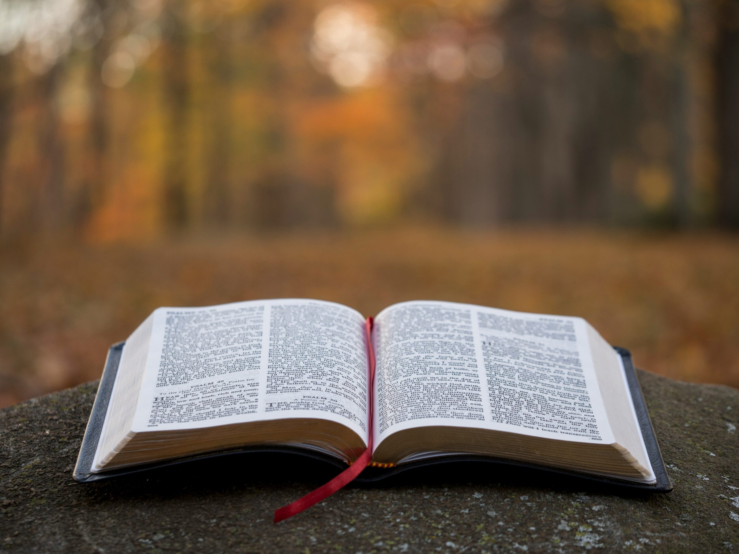 Desire the Word: Growing Through God’s Eternal Truth
