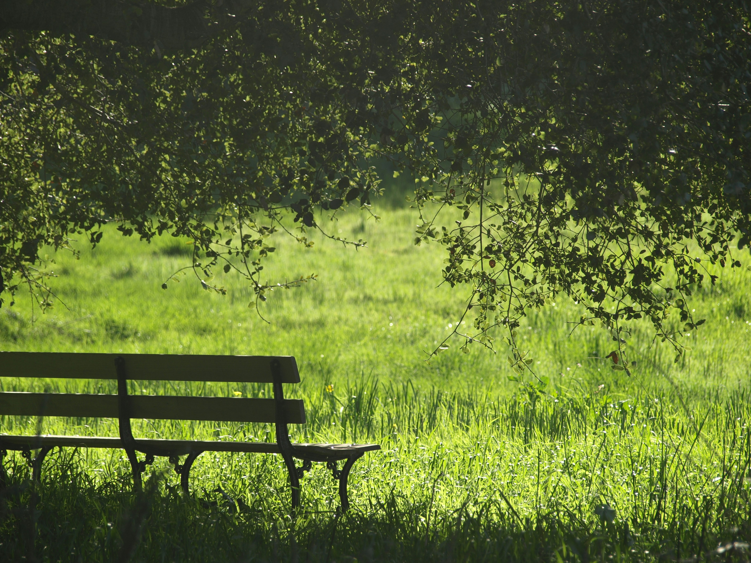The Gift of Rest: Finding Freedom from Spiritual Striving