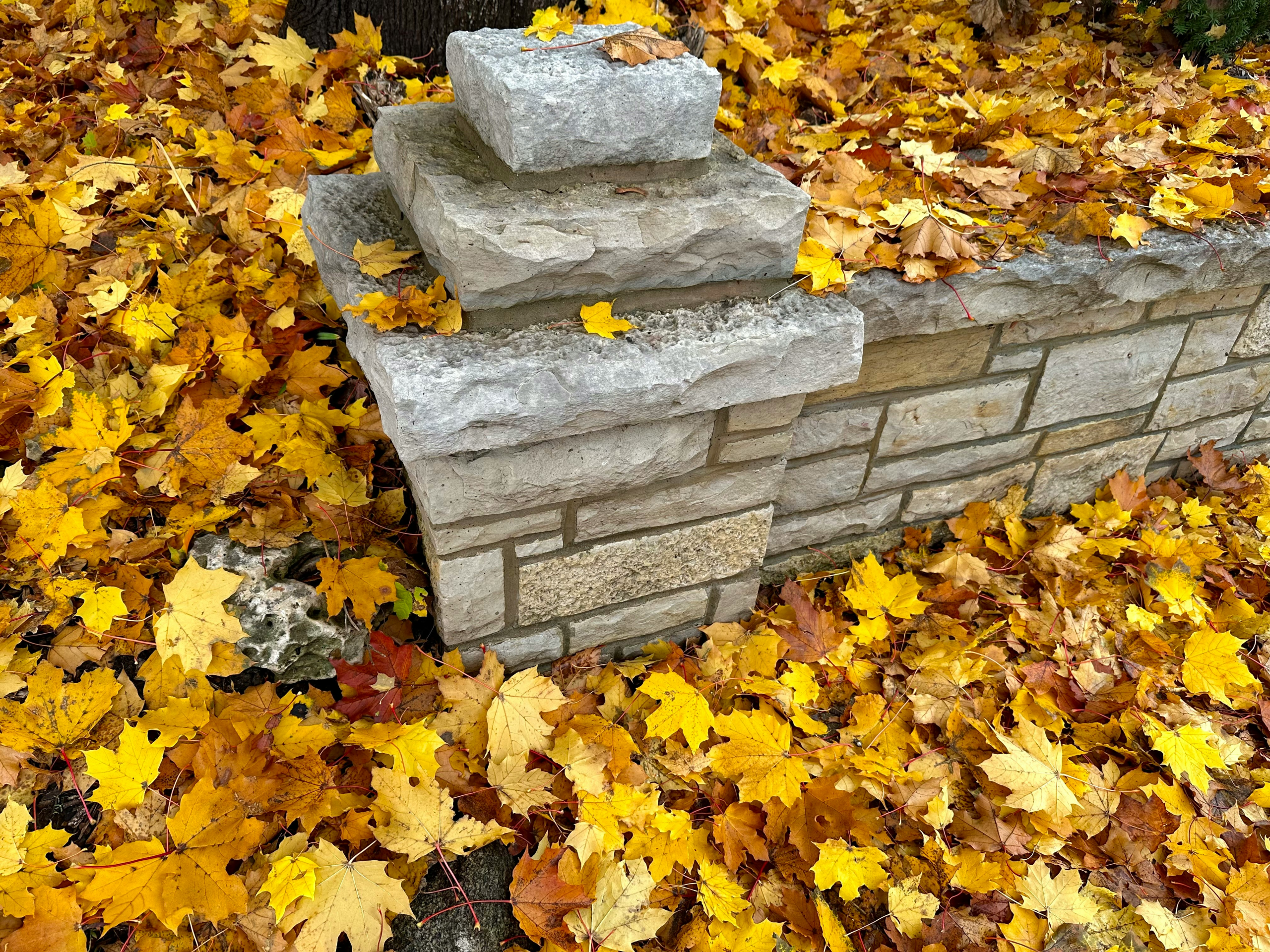 Christ the Cornerstone: Rejected by Men, Chosen by God